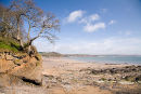 Saundersfoot Beach